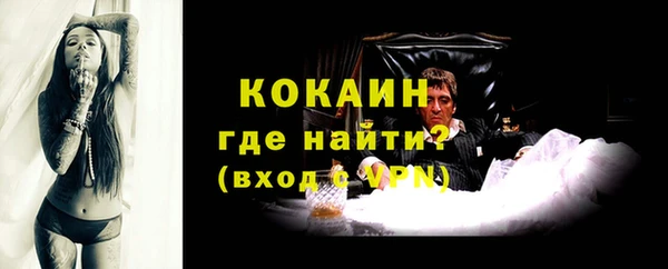 сатива Абаза