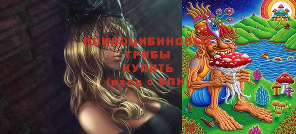 прущие крисы Алзамай
