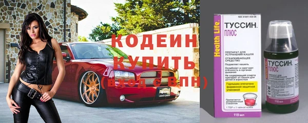 сатива Абаза