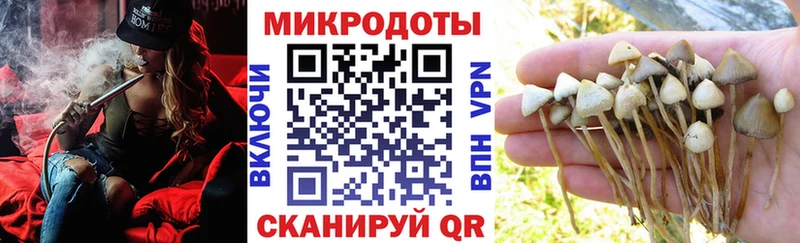 Псилоцибиновые грибы мухоморы  Вилючинск 